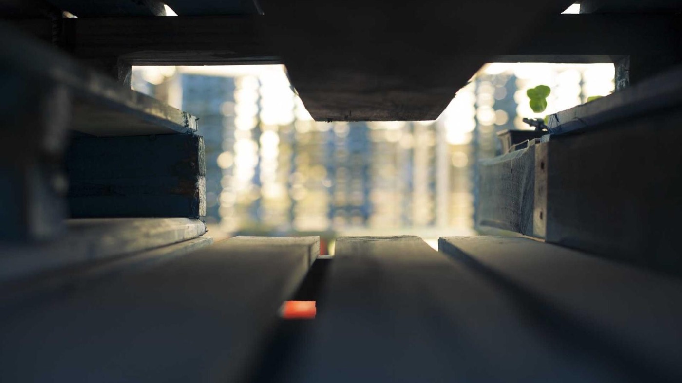 Professional career coaching session in a modern office.