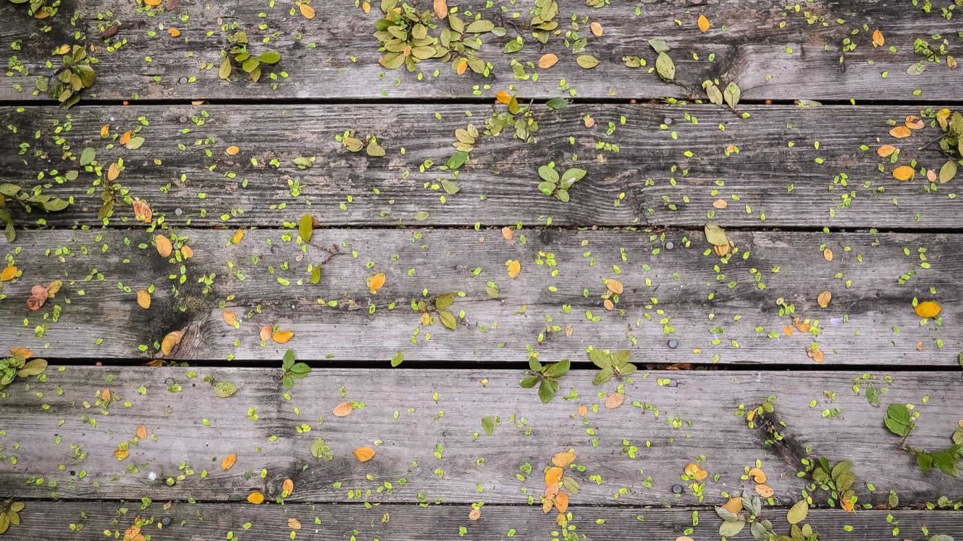 Professional career coaching session in a modern office.