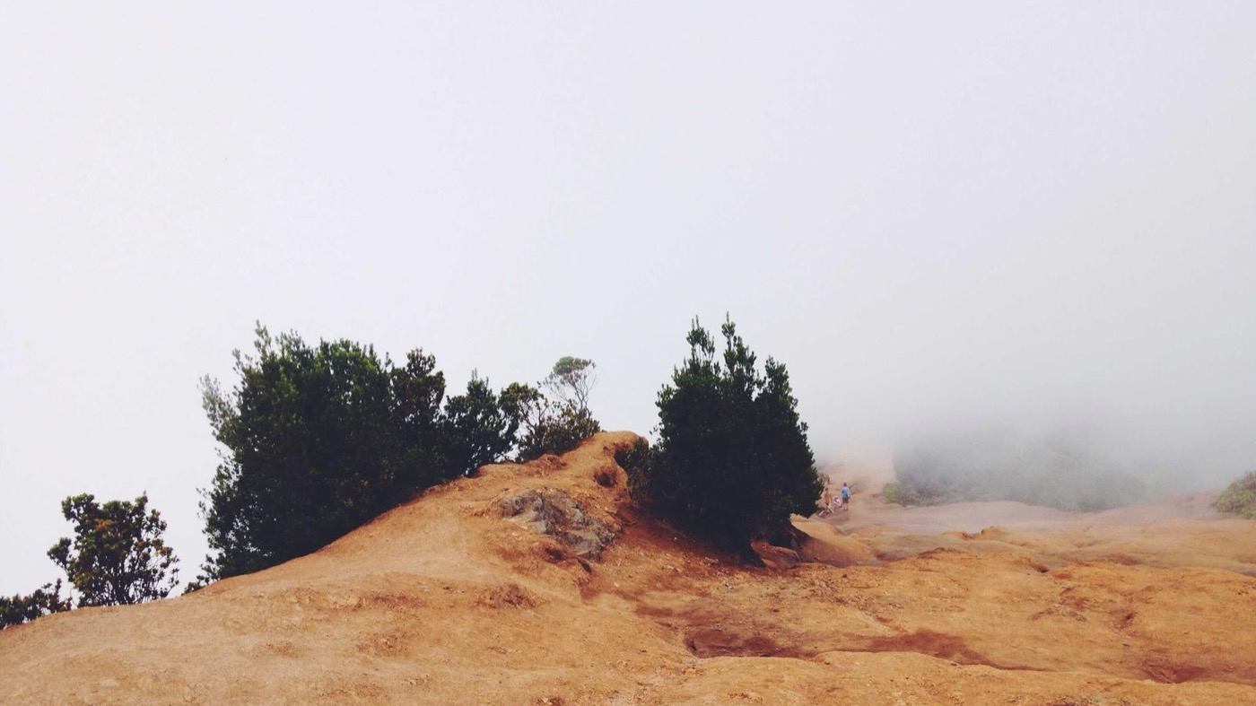 Professional career coaching session in a modern office.