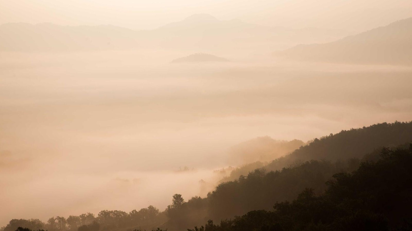 Professional coaching and career strategy imagery.