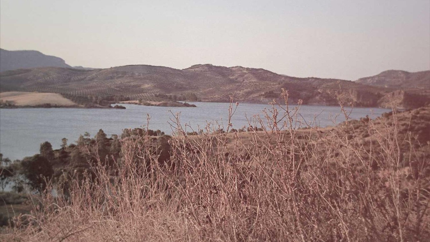 Professional coaching session focused on salary expectations.