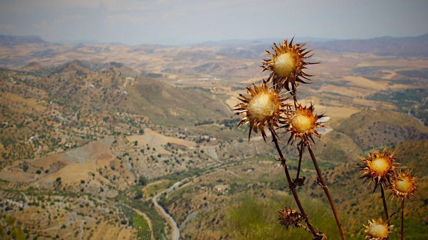 Professional career coaching session in a modern office.