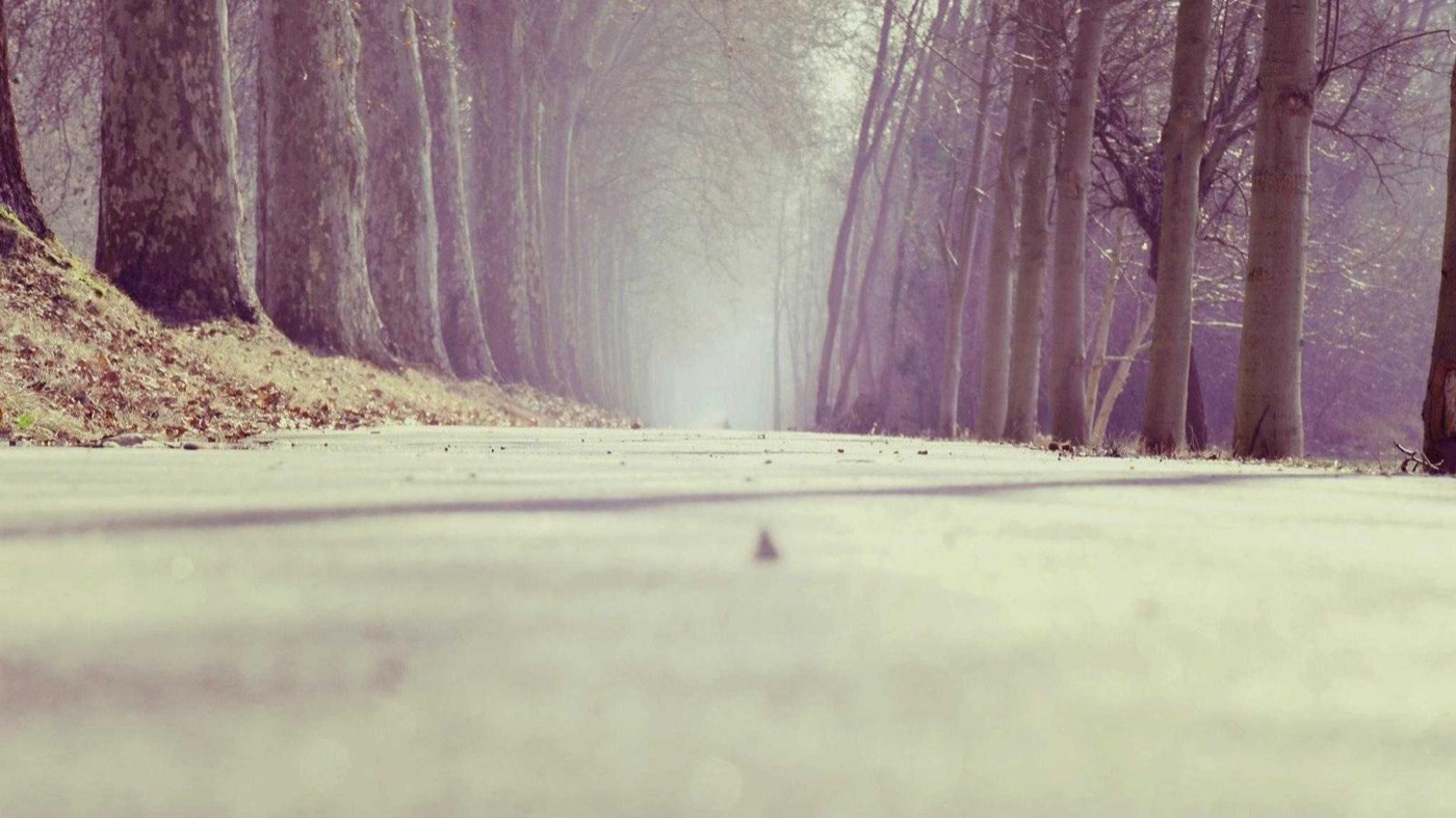 Professional career coaching session in a modern office.