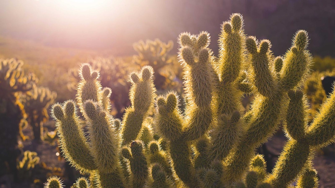 Professional coaching session focused on executive presence.