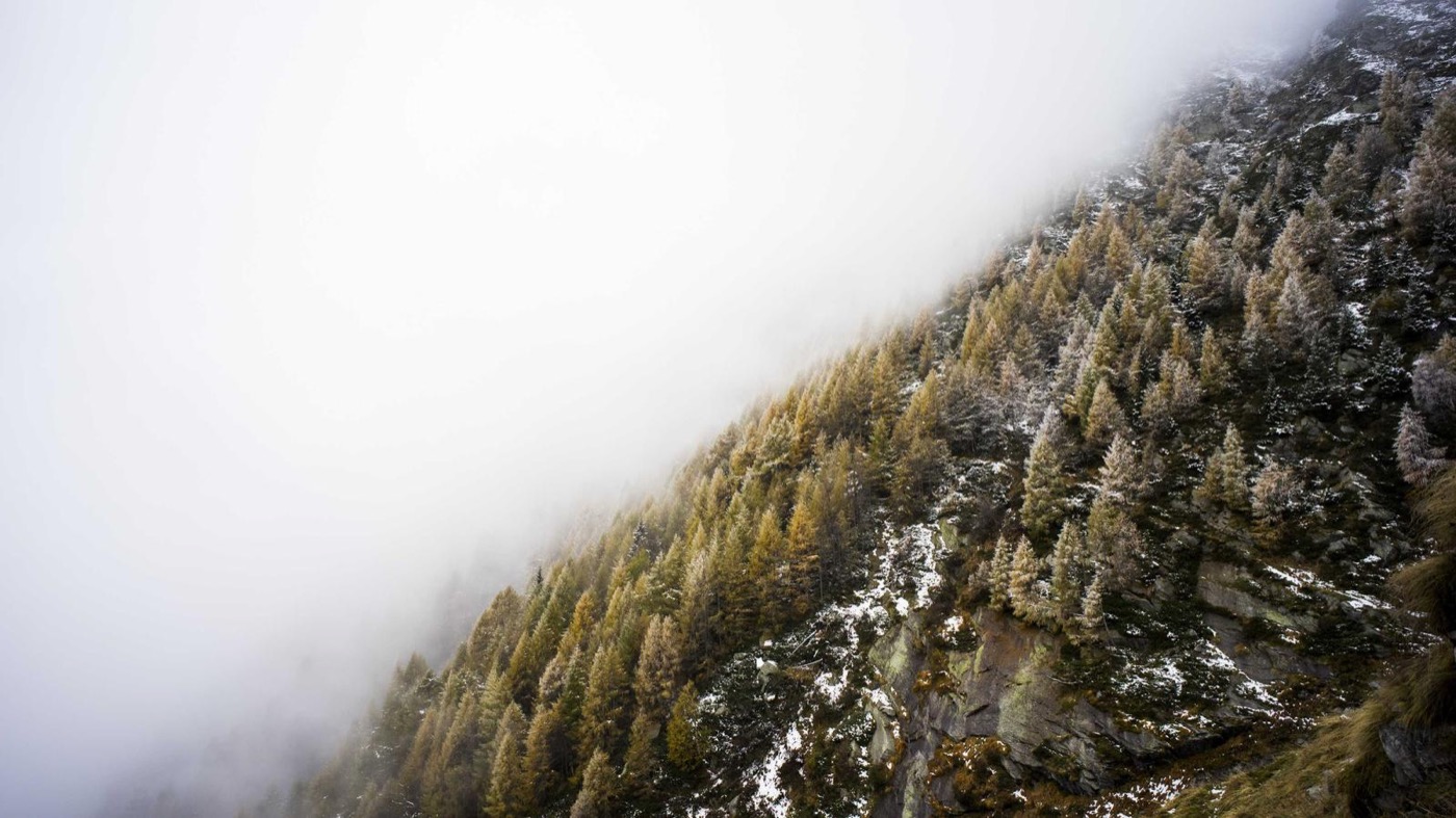 Professional coaching session focused on system design.