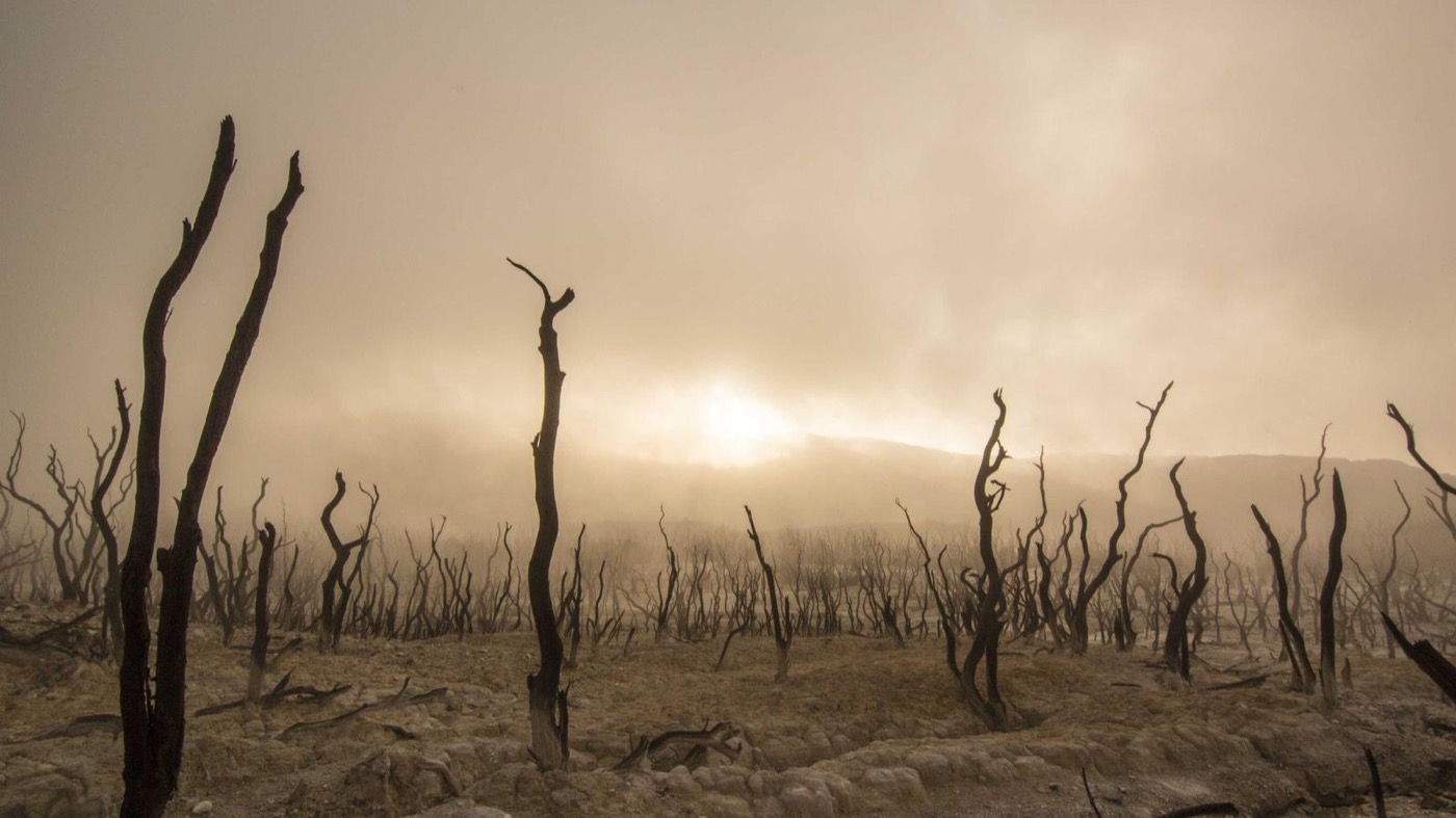 Professional coaching session focused on networking strategy.