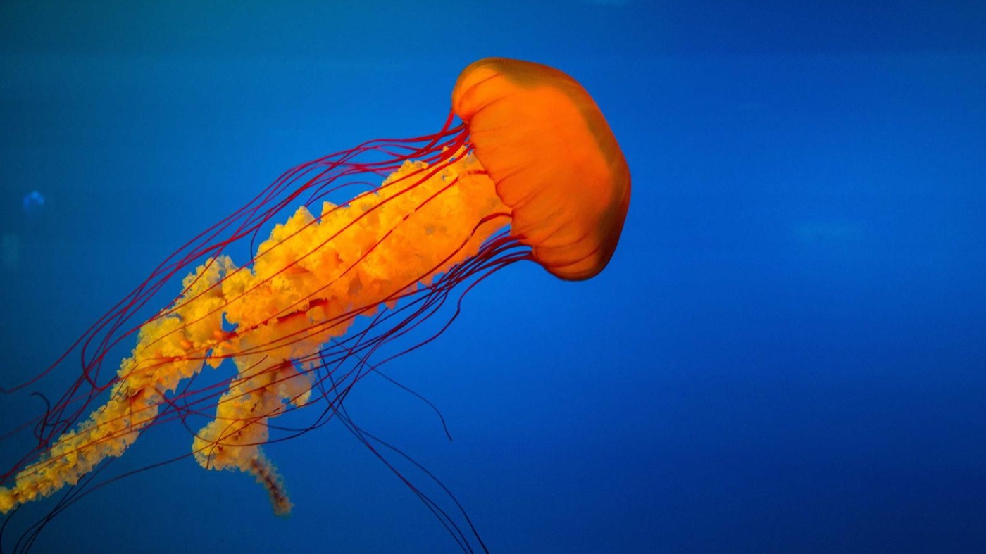 Professional coaching session focused on story bank.