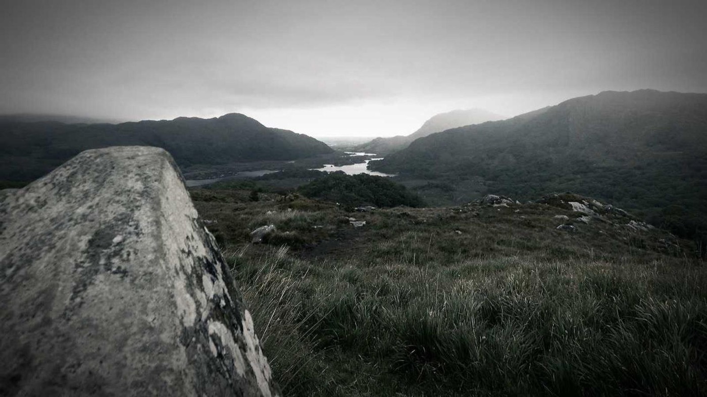 Professional coaching session focused on career pivots.