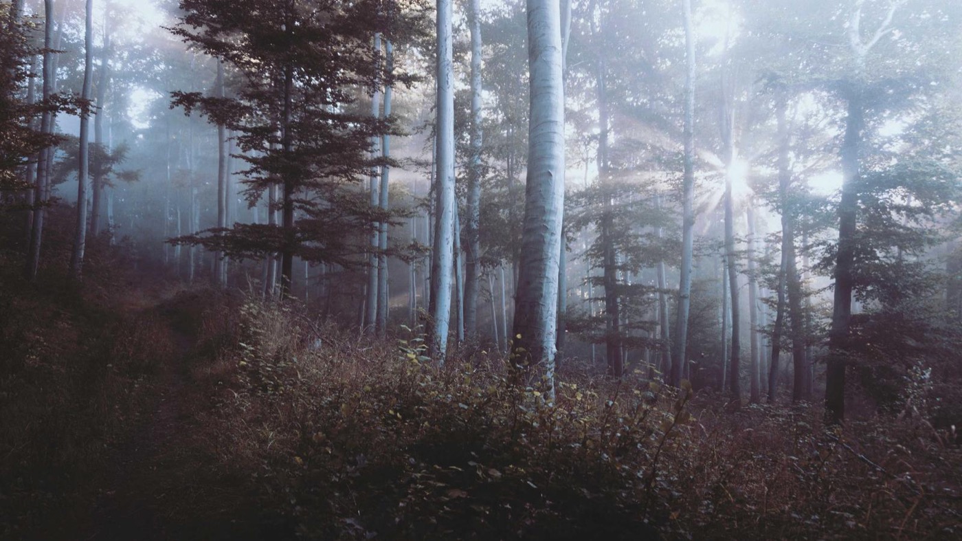 Professional coaching session focused on case studies.