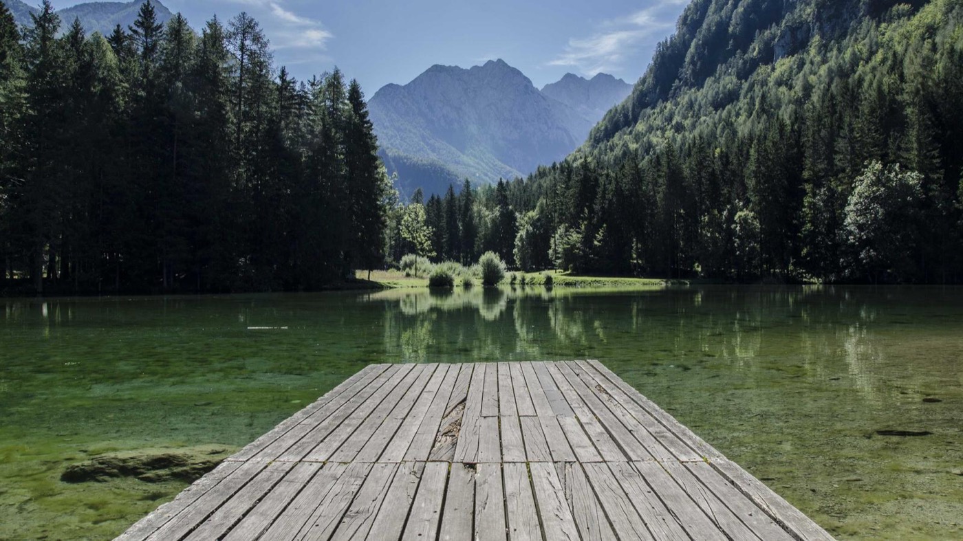 Professional coaching session focused on portfolio strategy.